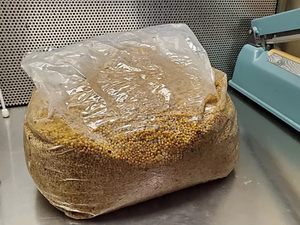 Pre-Sterilized Grain Bag (Injection Port Included) - Midnight Mushroom Co.
