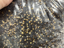 Load image into Gallery viewer, All-in-One Grow Bag - 5lb - Designed by Mycologists - No Break and Shake!
