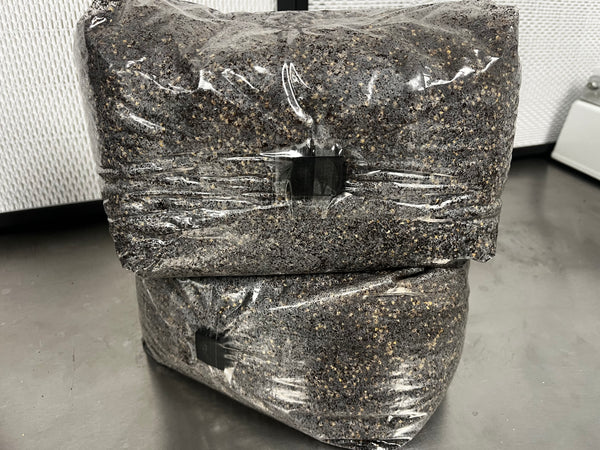 All-in-One Grow Bag - 5lb - Designed by Mycologists - No Break and Shake! - Midnight Mushroom Co.