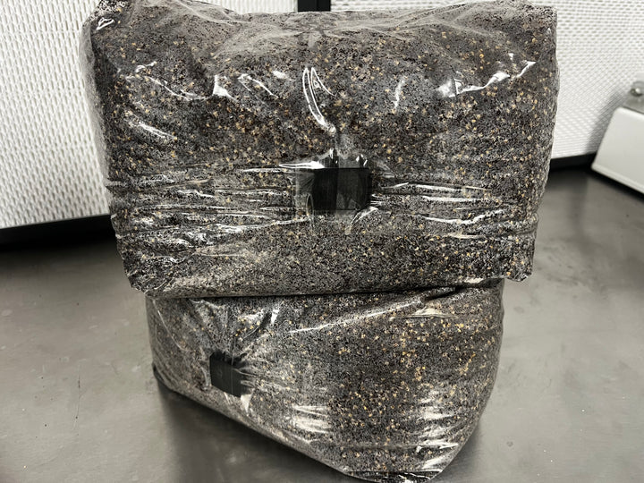 All-in-One Grow Bag - 5lb - Designed by Mycologists - No Break and Shake! - Midnight Mushroom Co.
