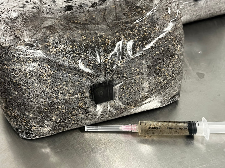 All-in-One Grow Bag - 5lb - Designed by Mycologists - No Break and Shake! - Midnight Mushroom Co.