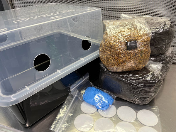 Monotub Mushroom Grow Kit