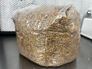 Pre-Sterilized Grain Bag (Injection Port Included) - 3 Pack