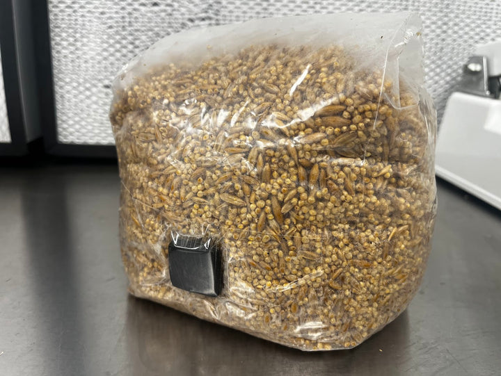 Pre-Sterilized Grain Bag (Injection Port Included) - 3lb or 6lb - Midnight Mushroom Co.