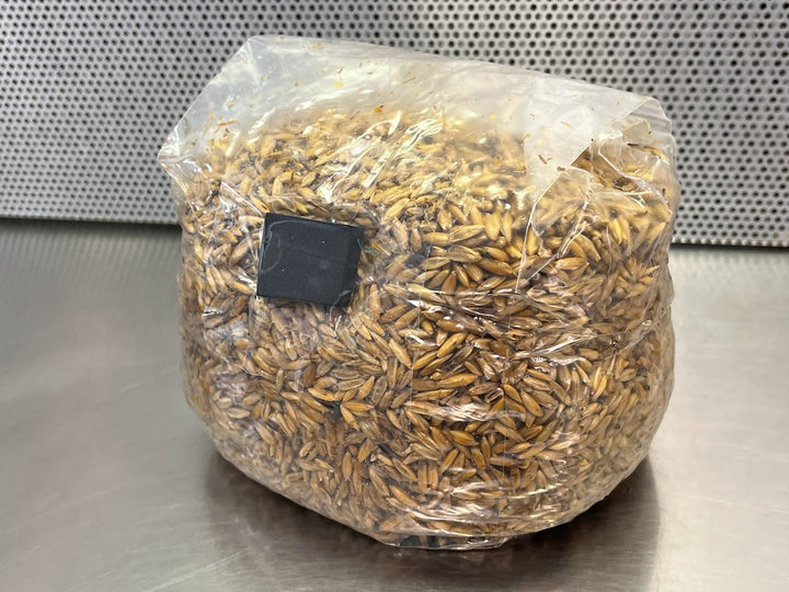Pre-Sterilized Grain Bag (Injection Port Included) - 3lb or 6lb - Midnight Mushroom Co.