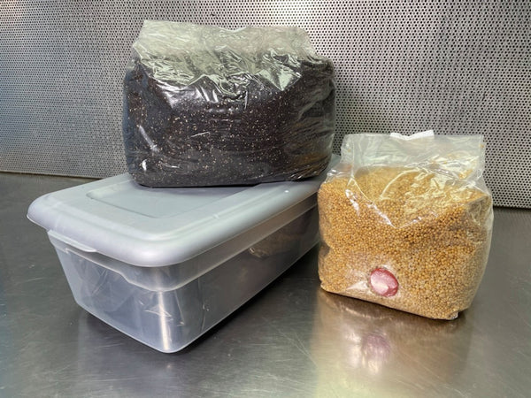Beginner Compact Growing Kit (Dung Loving Species) - Midnight Mushroom Co.