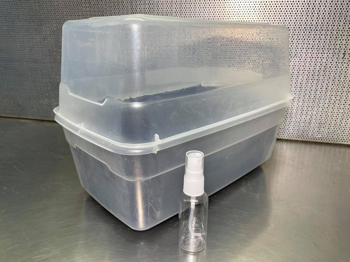 Beginner Compact Growing Kit (Dung Loving Species) - Midnight Mushroom Co.