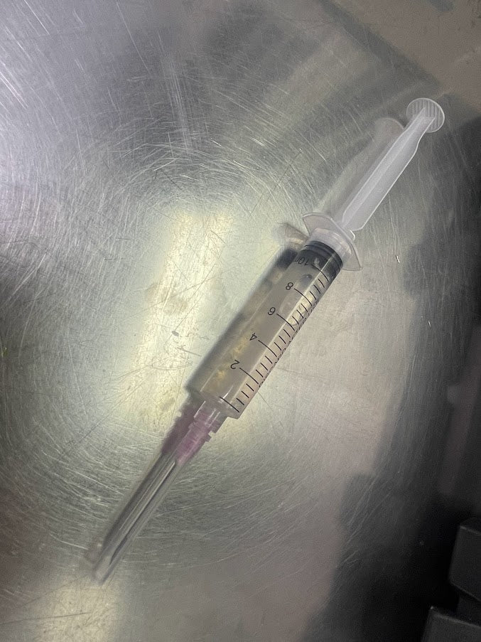 Red Reishi Liquid Culture Syringe - Midnight Mushroom Co.
