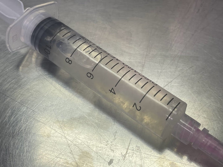 Red Reishi Liquid Culture Syringe - Midnight Mushroom Co.