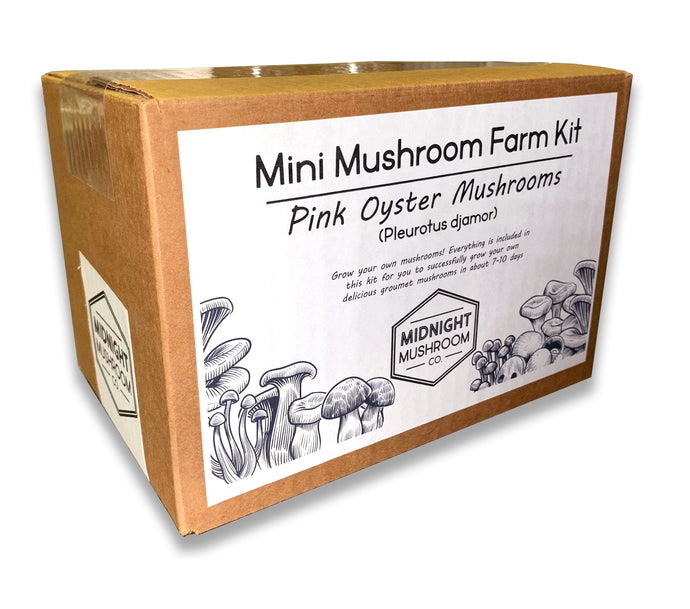 Mini Mushroom Farm Kit Subscription (Prepaid) - Midnight Mushroom Co.