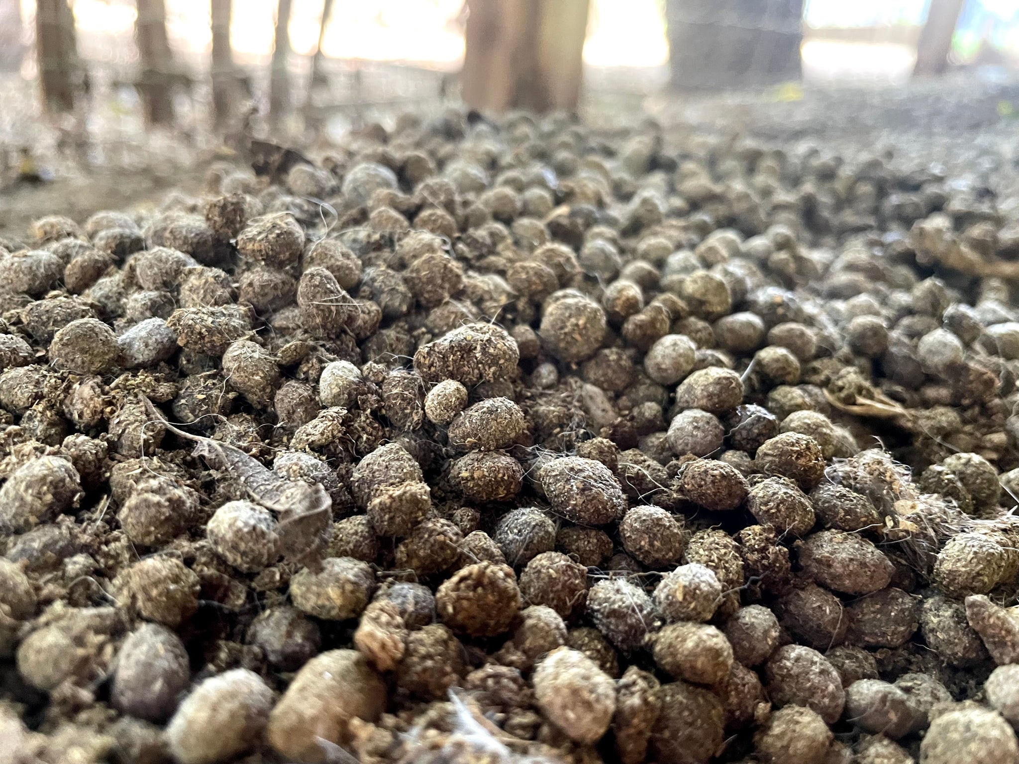 Rabbit Manure For Fertilizer | Fasci Garden