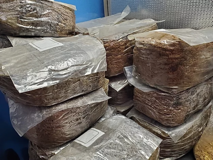 Supplemented Hardwood "Masters Mix" Substrate for Wood Loving Species (5lb or 10lb) - Midnight Mushroom Co.